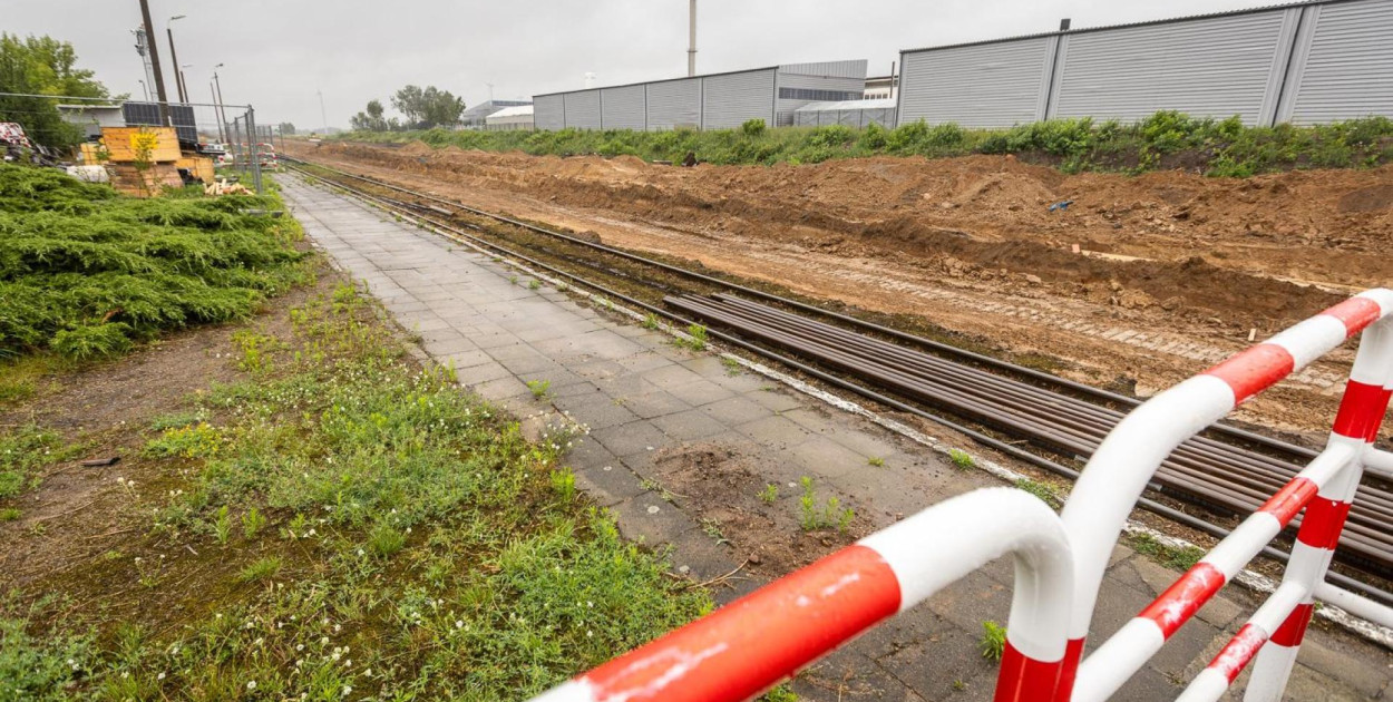 fot. Szymon Zdziebło/tarantoga.pl dla UMWKP