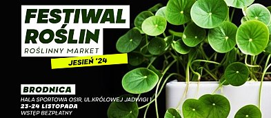 Festiwal Roślin w Brodnicy-323