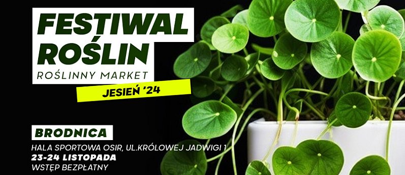 Festiwal Roślin w Brodnicy