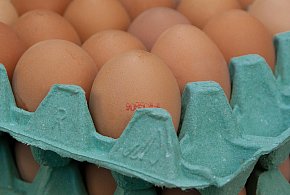 Salmonella na jajach znanej marki. Nie jedz, jeśli masz je w lodówce!-10420