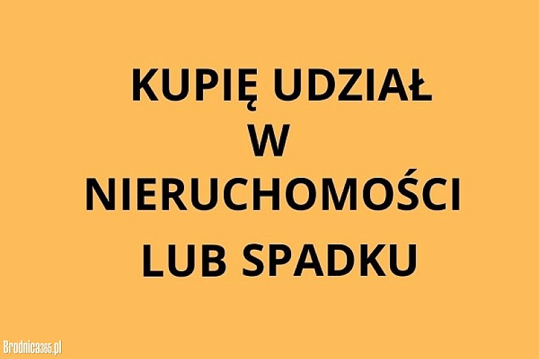 zdjecie ogloszenia