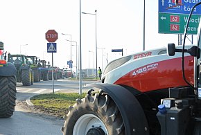 Rolnicy zapowiadają protest w całym kraju. Skala może zaskoczyć-11526