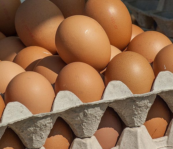 Salmonella wykryta w jajach! GIS wydał pilne ostrzeżenie-11490