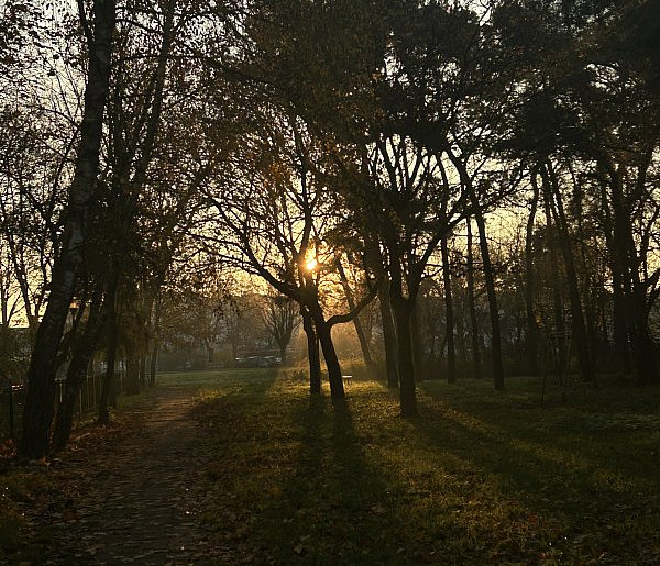 Nadchodzi najkrótszy dzień w 2025 roku. Sprawdź, kiedy przypadnie-11503